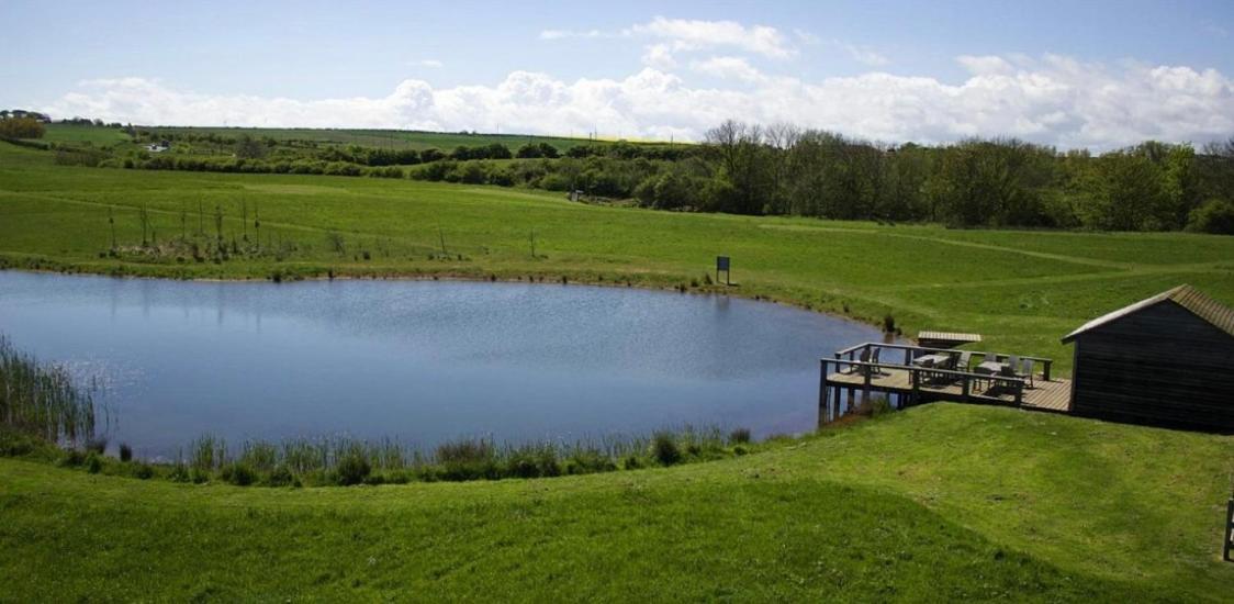 The Bay, Filey, Moonshine Cottage Экстерьер фото